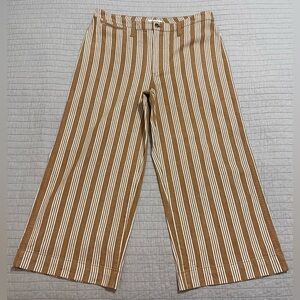 Madewell Emmett Wide-Leg Crop Pants in Katherine Stripe Golden Size 32